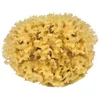Image de Croll & Denecke M130 Éponge naturelle de la mer Méditerranée 13 cm