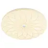 Image de BANKAMP Mandala Plafonnier, LED, 7804/520-07,