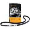 Image de Continental Contitech CT873 Courroie crantée