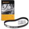 Image de Continental Contitech CT914 Courroie crantée