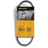 Image de Continental Contitech 5PK491 Courroie trapézoïdale à nervures