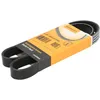 Image de 6PK1004EXTRA