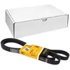 Image de Continental Contitech 6PK2260 Courroie trapézoïdale à nervures