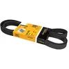 Image de CONTITECH 6PK1905 Courroie Poly-V
