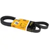 Image de Continental Contitech 6PK1863 Courroie trapézoïdale à nervures