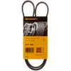 Image de Continental Contitech 4PK1000 Courroie trapézoïdale à nervures