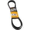 Image de CONTITECH 6PK1780 Courroie Poly-V