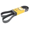 Image de CONTITECH 8PK1550 Courroie Poly-V