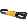 Image de Continental Contitech 6PK2135 Courroie trapézoïdale à nervures