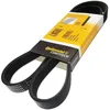 Image de ContiTech 8PK1230 Courroie STRIEE