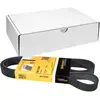 Image de Continental Contitech 6PK1580 Courroie trapézoïdale à nervures