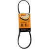 Image de Continental Contitech 5PK868 ELAST Courroie trapézoïdale à nervures