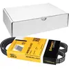 Image de CONTINENTAL CTAM Courroie à nervures trapézoïdales 4PK903ELAST