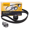 Image de CONTITECH Kit de distribution CT1096K1 Nombre de dents: 176 28mm Compatible avec LAND ROVER Freelander SUV L314, MG ZS Berline, ROVER 75 RJ