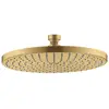 Image de AXOR Starck Douche de tête, 1 jet, 28494250,