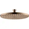 Image de AXOR Starck Douche de tête, 1 jet, 28494300,