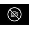 Image de MANN-FILTER SP 3022-2 Filtre à air (lot de 2) - pour Applications non routières