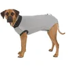 Image de Trixie 19533 OP~Body, S : 35 cm, Gris