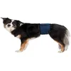 Image de Trixie Bandeau ventral pour Chiens mâles