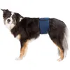 Image de Trixie Bandeau Ventrale pour Chiens mâles