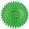 Image de Trixie TPR - Boule hérisson flottante, couleurs variées