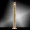Image de Paul Neuhaus Nevis Lampadaire, LED, 603-12,