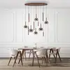 Image de Paul Neuhaus Bowl Suspension LED, 2288-23,