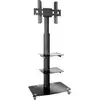 Image de My Wall HP100L Chariot TV 94,0 cm (37) - 177,8 cm (70) réglable en hauteur, rigide, extensible