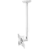 Image de My Wall HL 4-2 WL Support TV pour plafond 58,4 cm (23) - 106,7 cm (42) extensible, inclinable, mobile, support de plafond