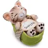 Image de Nici Chat Dormant Dans Panier Teddy 12 Cm