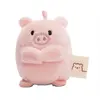 Image de Nici Cochon Onk Sur Carte D'en-tête Nounours 5 Cm