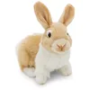 Image de NICI 62601 Lapin en Peluche, 20 cm, Beige, Doux, Adorable Compagnon pour câlins et Jeux, Superbe idée Cadeau pour Enfants et Adultes