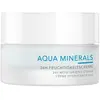 Image de Charlotte Meentzen - Aqua Minerals Crème hydratante 24 heures Crème de jour 50 ml unisex