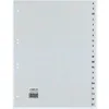 Image de Rexel 25240481 Intercalaire Gris