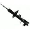 Image de SACHS Amortisseur pour FIAT: Sedici & SUZUKI: SX4 (Ref: 312 821)