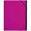 Image de PAGNA Classeurs soufflet tendance, A4, 12 comp., rose foncé
