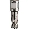 Image de FEIN 63134120051, Fraise HSS Nova, 25, emmanchement QuickIN, Ø12x25 mm, en Acier, pour une coupe précise et efficace, Fraise à Haute Vitesse, Accessoire Outil de Coupe, pour tous types de supports