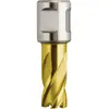 Image de Fraise HSS-Dura 25 Ø 24 x 25 QuickIN TIN Fein HSS-Dura 25 63133240067 24 mm 1 pc(s)