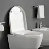 Image de LAUFEN Pro Abattant WC, H8969503000001,