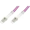 Image de Digitus DK-2533-02-4 fibre optique FO Câble de raccordement 2.00 m violet [1x LC mâle - 1x LC mâle] 50/125 µ Multimode OM4