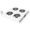Image de Digitus DN-19 FAN-4-N 19 pouces 4 x gris clair (RAL 7035)