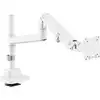 Image de Digitus Support de table pour écran DIGITUS - Single Monitorhalterung, 57, 27 kg 1 Écran(s) 144,8 cm (57) blanc rotatif, inclinable, rotatif, mobile