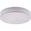 Image de Trio Leuchten Smart Home Plafonnier Métal Blanc