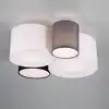 Image de TRIO Leuchten Hotel Plafonnier, petit modèle, 693900417,