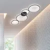 Image de TRIO Leuchten Rondo Plafonnier, LED, 622610432,