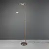 Image de TRIO Leuchten Barrie Lampadaire à éclairage indirect, LED, 424210304,