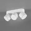Image de TRIO Leuchten Taurus Projecteur, LED, 652910331,