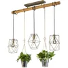 Image de Trio, Suspension, Plant 3xE27, max.40,0 W Verre, Transparent claire, Corps: Métal, nickel antique L:115,0cm, L:22,0cm, H:150,0cm IP20,Sans illuminant,Réglable en hauteur