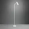 Image de TRIO Leuchten Marley Lampadaire, GU10, 412400131,