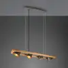 Image de TRIO Leuchten Bell Suspension, 301900467,